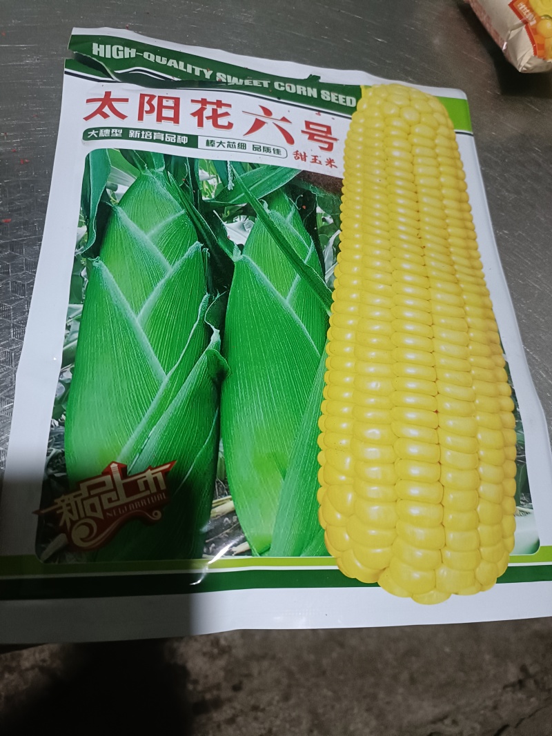 云南精品玉米苗批发全国发货欢迎来电订购