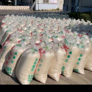 豆渣