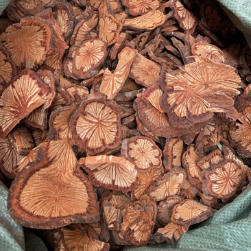 大红藤血塞通500克起批