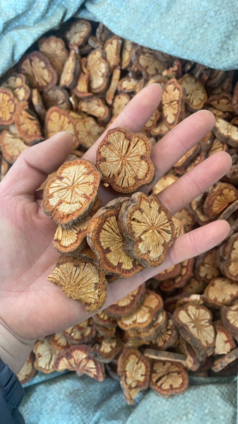 大红藤血塞通500克起批