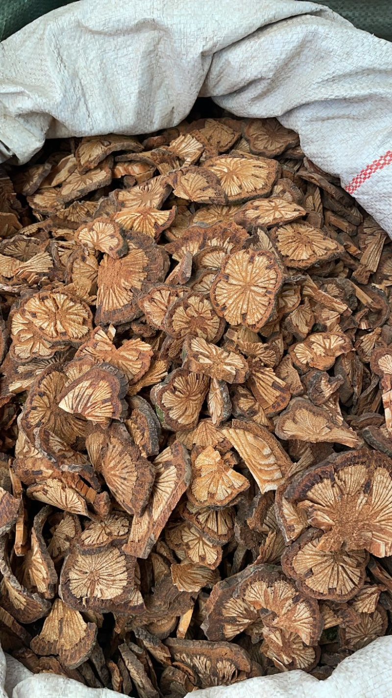 大红藤血塞通500克起批