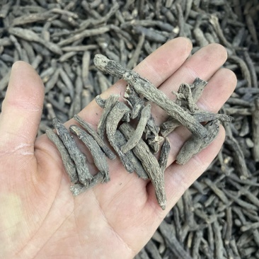 仙茅根1公斤起批