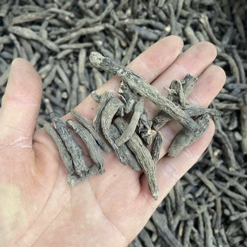 仙茅根1公斤起批