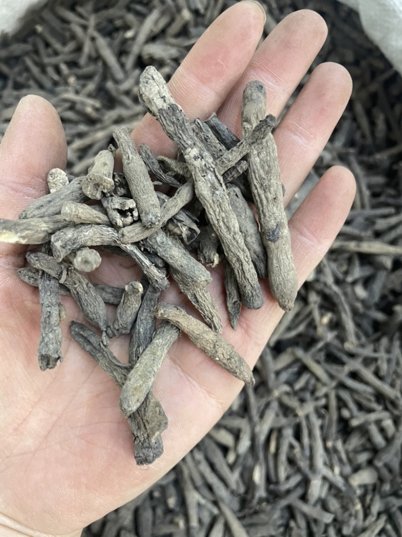 仙茅根1公斤起批