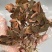 金线莲金线莲干货各种规格量大从优1斤起包邮