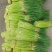 【红帽蒜苔】精品蒜薹河南开封通许蔬菜基地蒜苔全国发货