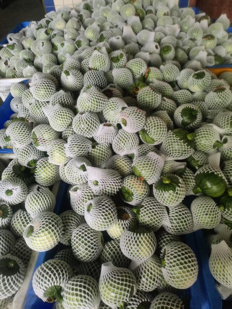 精品小南瓜
