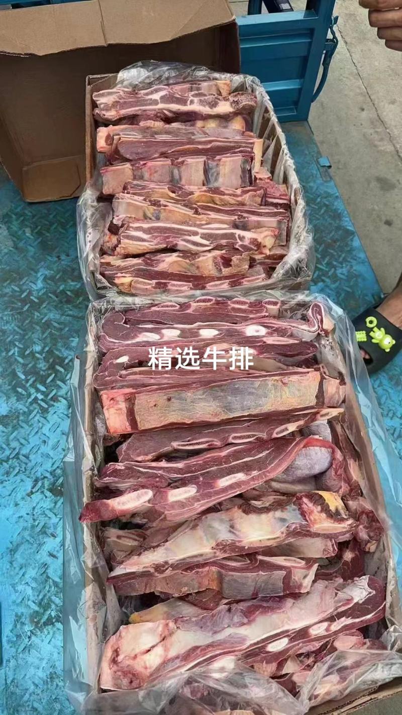 牛排实拍，颜色鲜亮，带肉率高，适合酱牛骨店，牛肉汤店