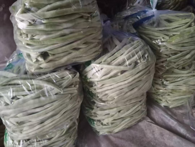 白芸豆白不老欢迎各大商超以及电商前来选购