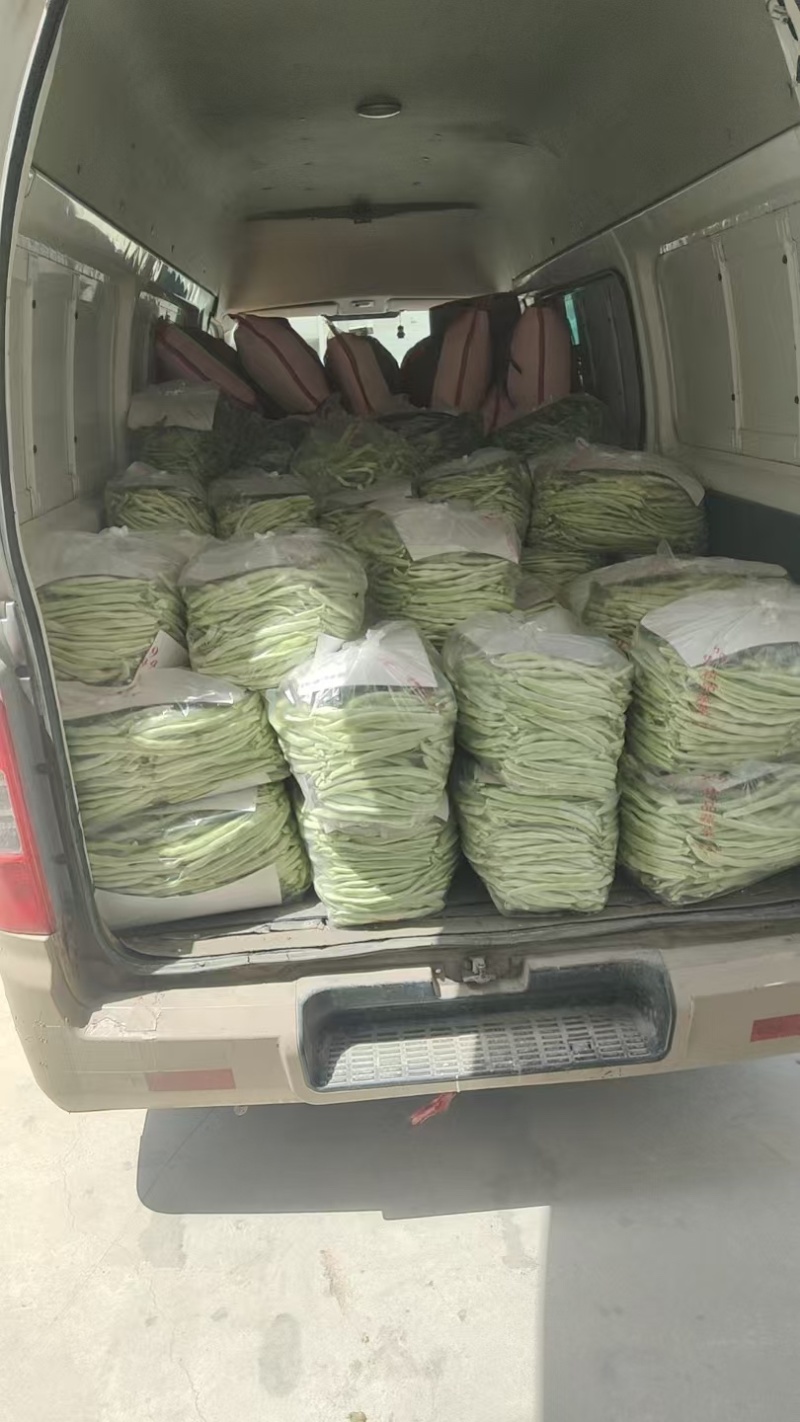 白芸豆白不老欢迎各大商超以及电商前来选购