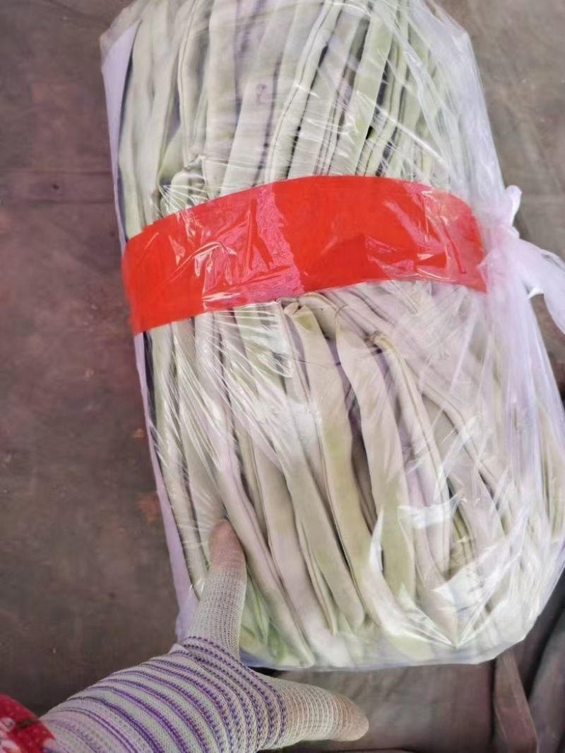 白芸豆白不老欢迎各大商超以及电商前来选购