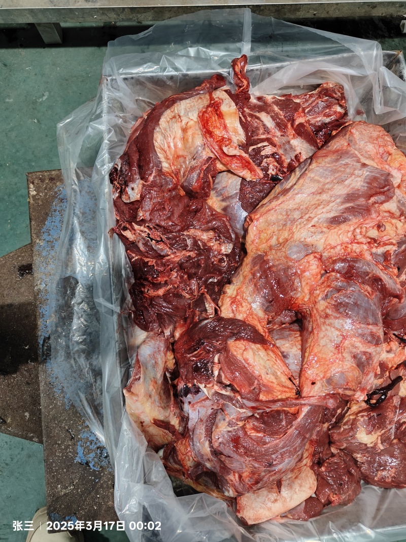 全牛肉牛前牛后肋条牛腩肚腩，精修加工厂专用四六分体