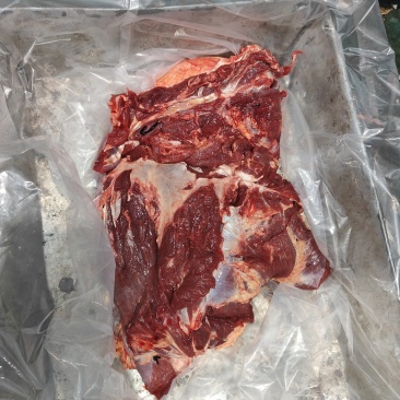 全牛肉牛前牛后肋条牛腩肚腩，精修加工厂专用四六分体