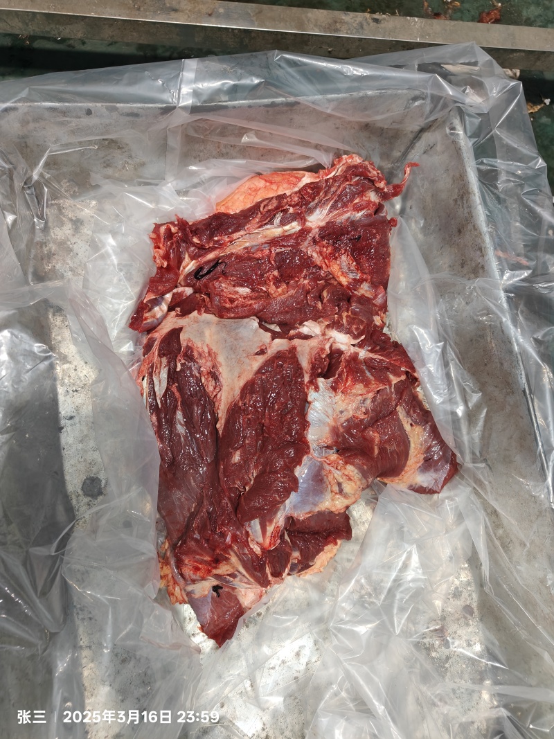 全牛肉牛前牛后肋条牛腩肚腩，精修加工厂专用四六分体