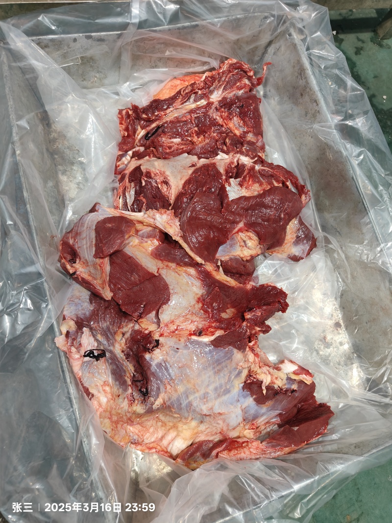 全牛肉牛前牛后肋条牛腩肚腩，精修加工厂专用四六分体