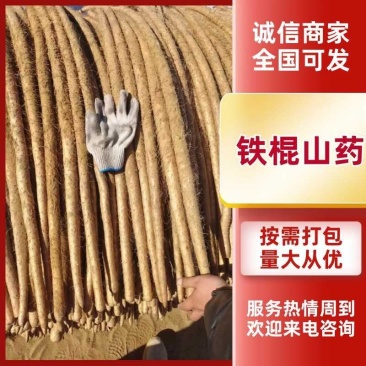 铁棍山药好货推荐】精品，全国发货，量大从优，欢迎致电