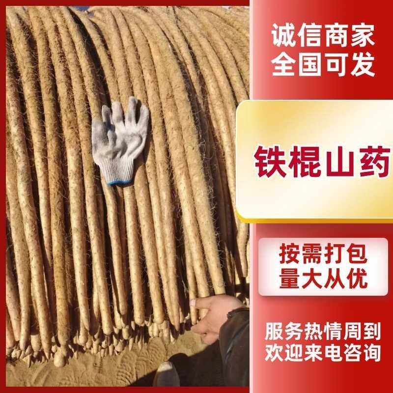 铁棍山药好货推荐】精品，全国发货，量大从优，欢迎致电