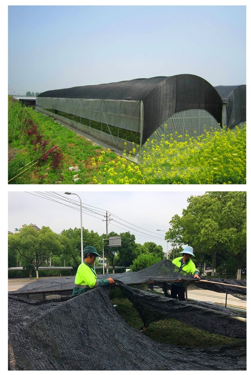 遮阳网、蔬菜棚专用遮阳防晒网加密加厚防晒网防老化大棚网