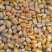 东北黄玉米，价格优美，大量出售，可直接联系我看货