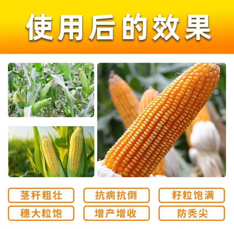 玉丰沅含氨基酸水溶肥穗大粒饱茎秆粗壮玉米专用肥料