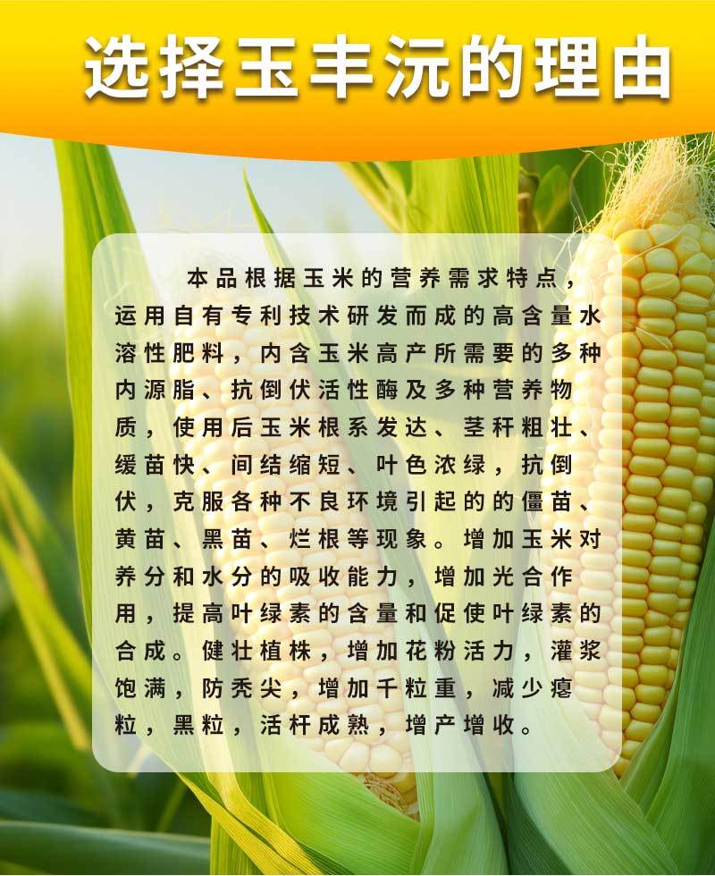 玉丰沅含氨基酸水溶肥穗大粒饱茎秆粗壮玉米专用肥料