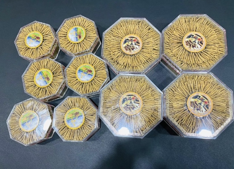 纯野生冬虫夏草野生的才叫虫草培植的只能叫虫草素