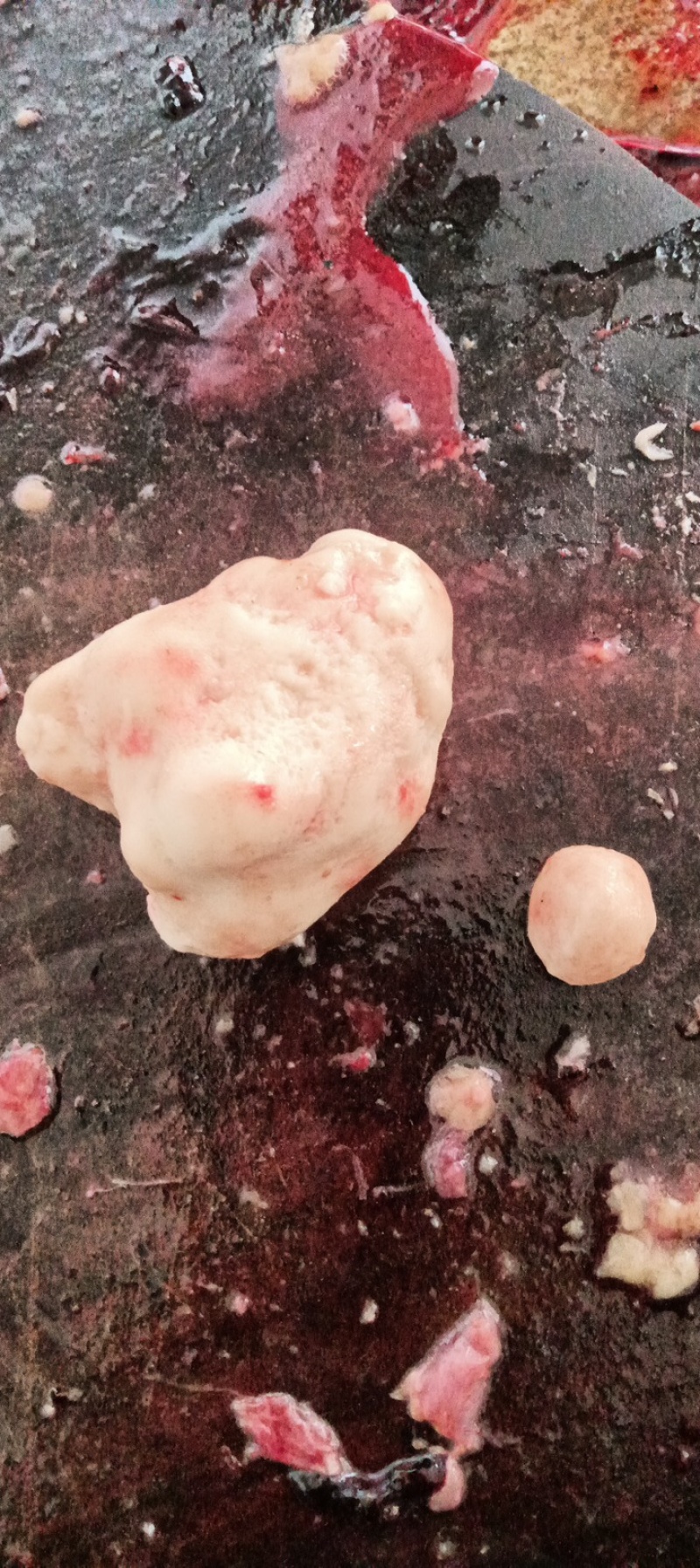 鸡宝