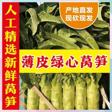 河南红叶香莴笋，价格便宜质量好。大红，二红，抗寒热。