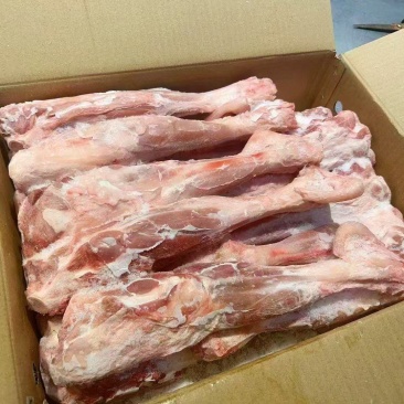 羔羊后棒，烧烤卤煮，单个一斤3两左右，八九两左右均匀现货