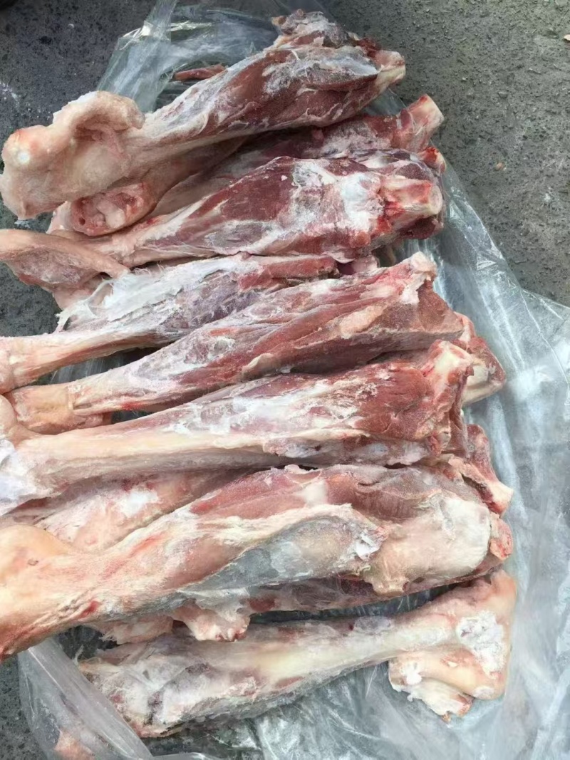 羔羊后棒，烧烤卤煮，单个一斤3两左右，八九两左右均匀现货