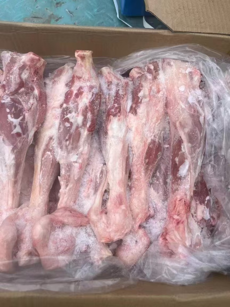 羔羊后棒，烧烤卤煮，单个一斤3两左右，八九两左右均匀现货