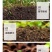松土菌微生物菌剂调理酸碱提高肥力疏松土壤瓜果蔬菜