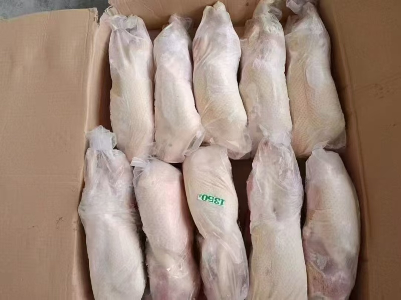 白条鸭