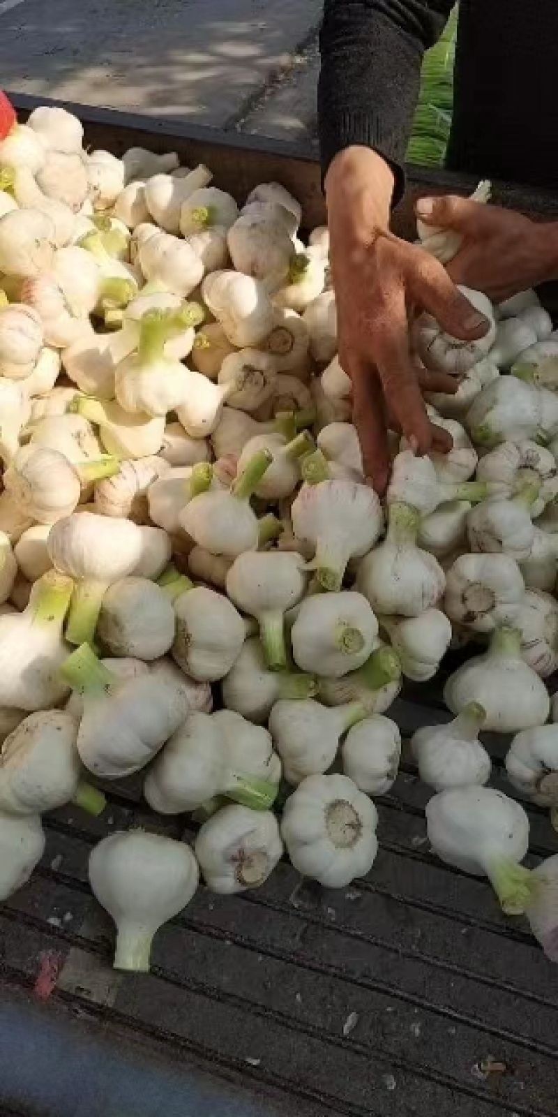 扒皮大蒜