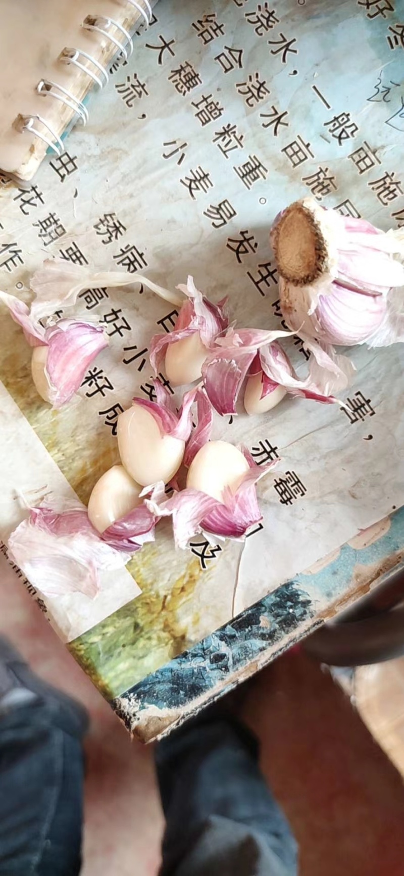 扒皮大蒜
