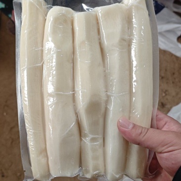 精品去皮山药全国可发量大从优价格透明对接各大商超