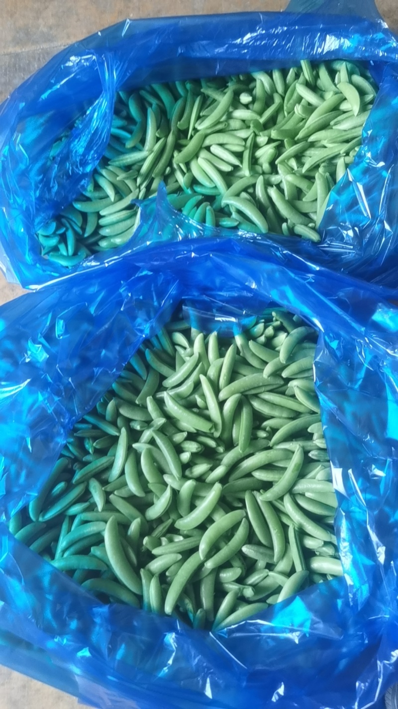 奇珍76甜脆甜豌豆