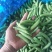 奇珍76甜脆甜豌豆
