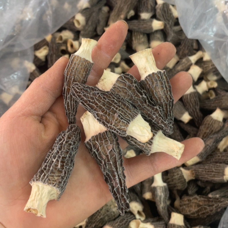 4到6羊肚菌，245一斤大货批发