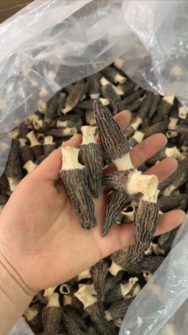 4到6羊肚菌，245一斤大货批发