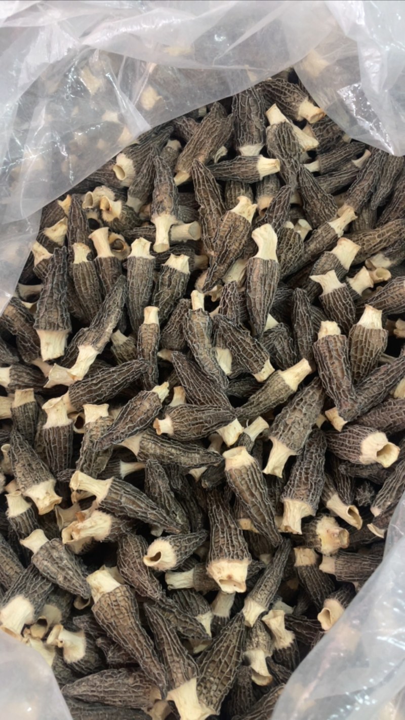 4到6羊肚菌，245一斤大货批发