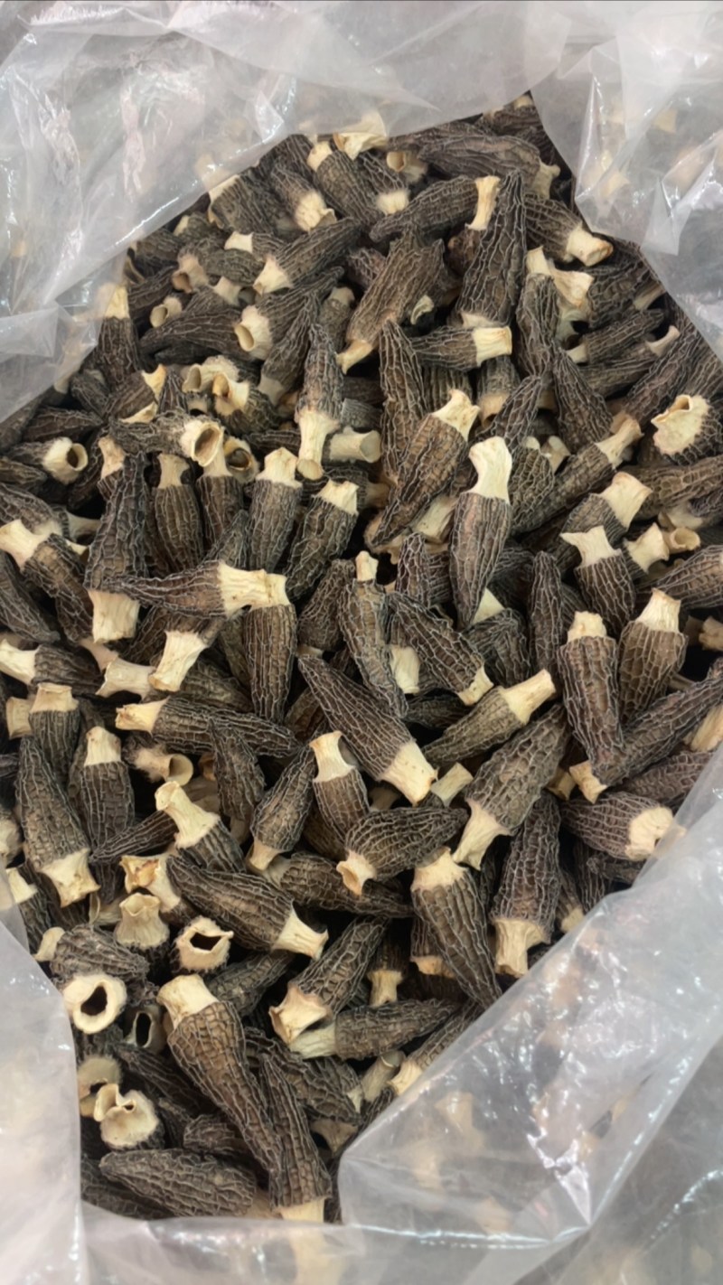 4到6羊肚菌，245一斤大货批发