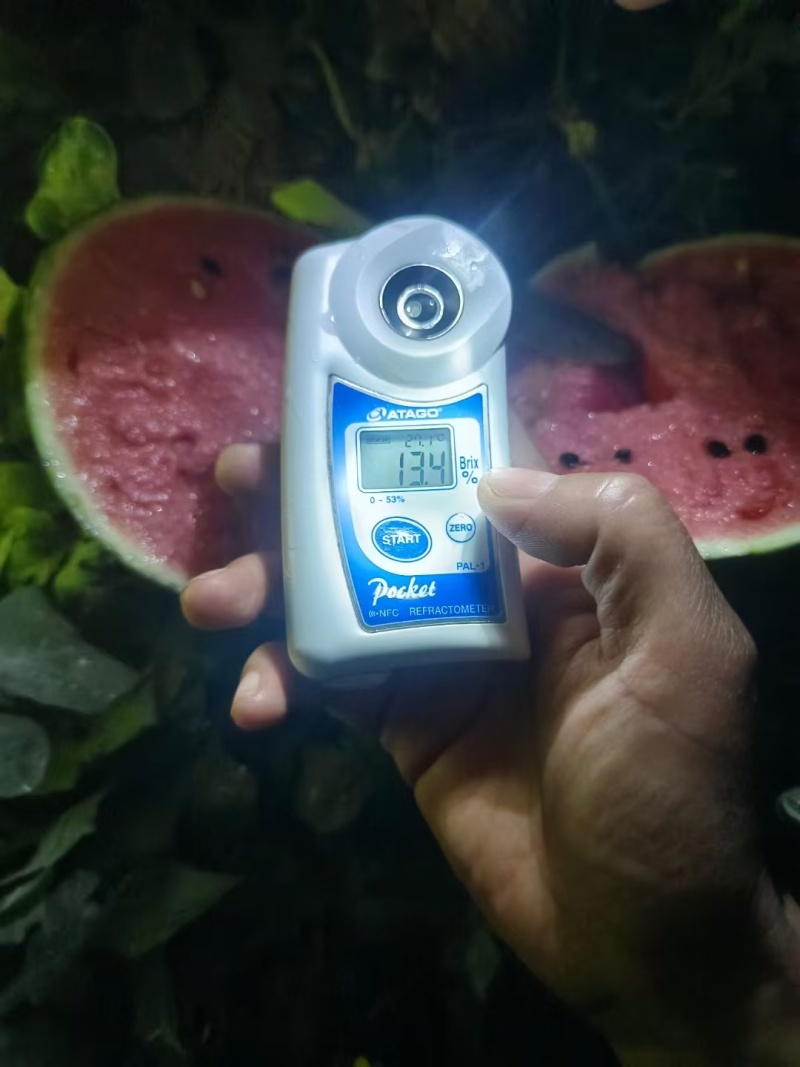 手撕小西瓜小糖丸西瓜町祺冰糖子2k红珍珠产地直发