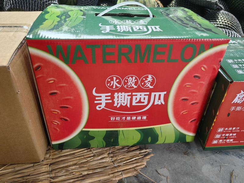 手撕小西瓜小糖丸西瓜町祺冰糖子2k红珍珠产地直发
