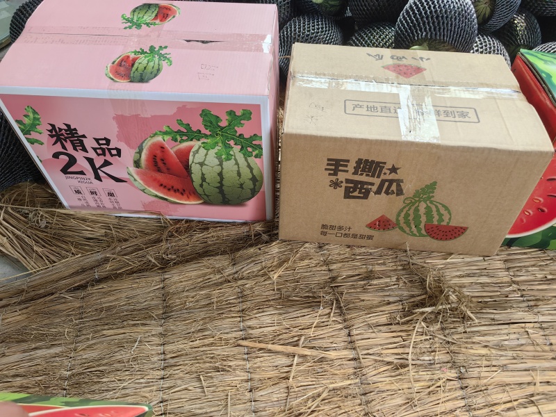 手撕小西瓜小糖丸西瓜町祺冰糖子2k红珍珠产地直发