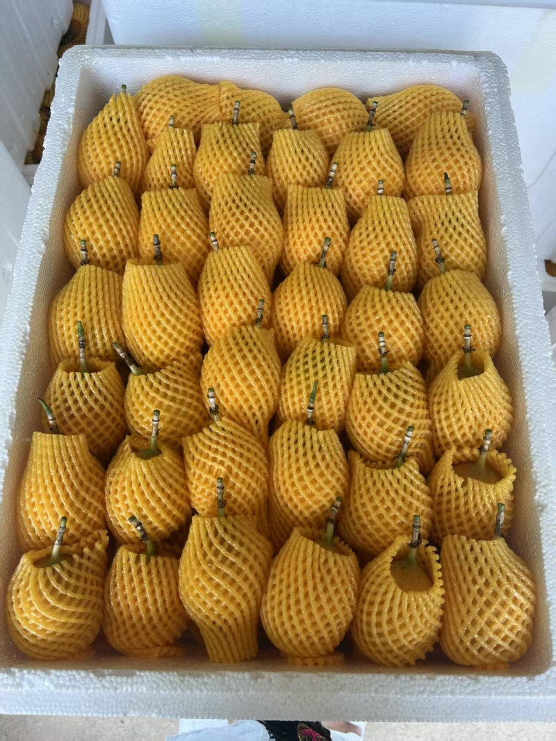 热情果