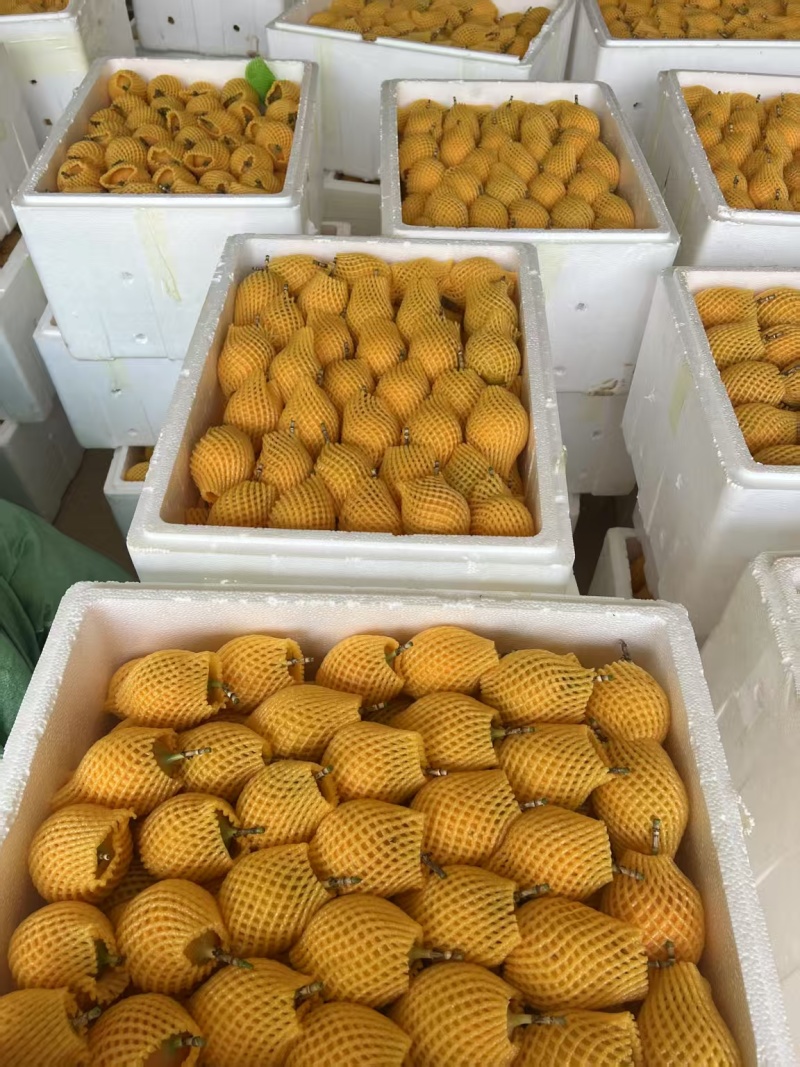 热情果
