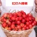 《精选》山东红灯樱桃量大从优对接商超团购供应链一条龙服务