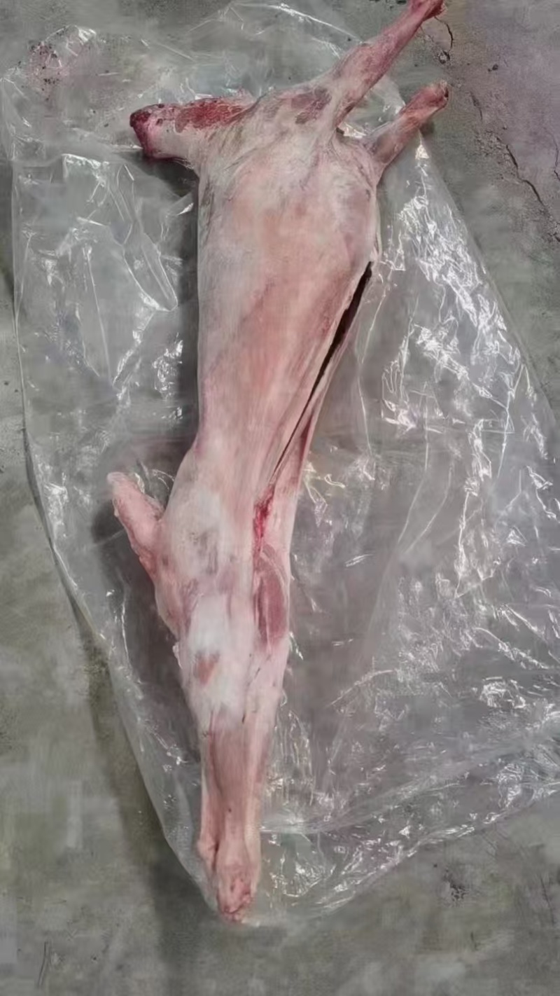 整条羊