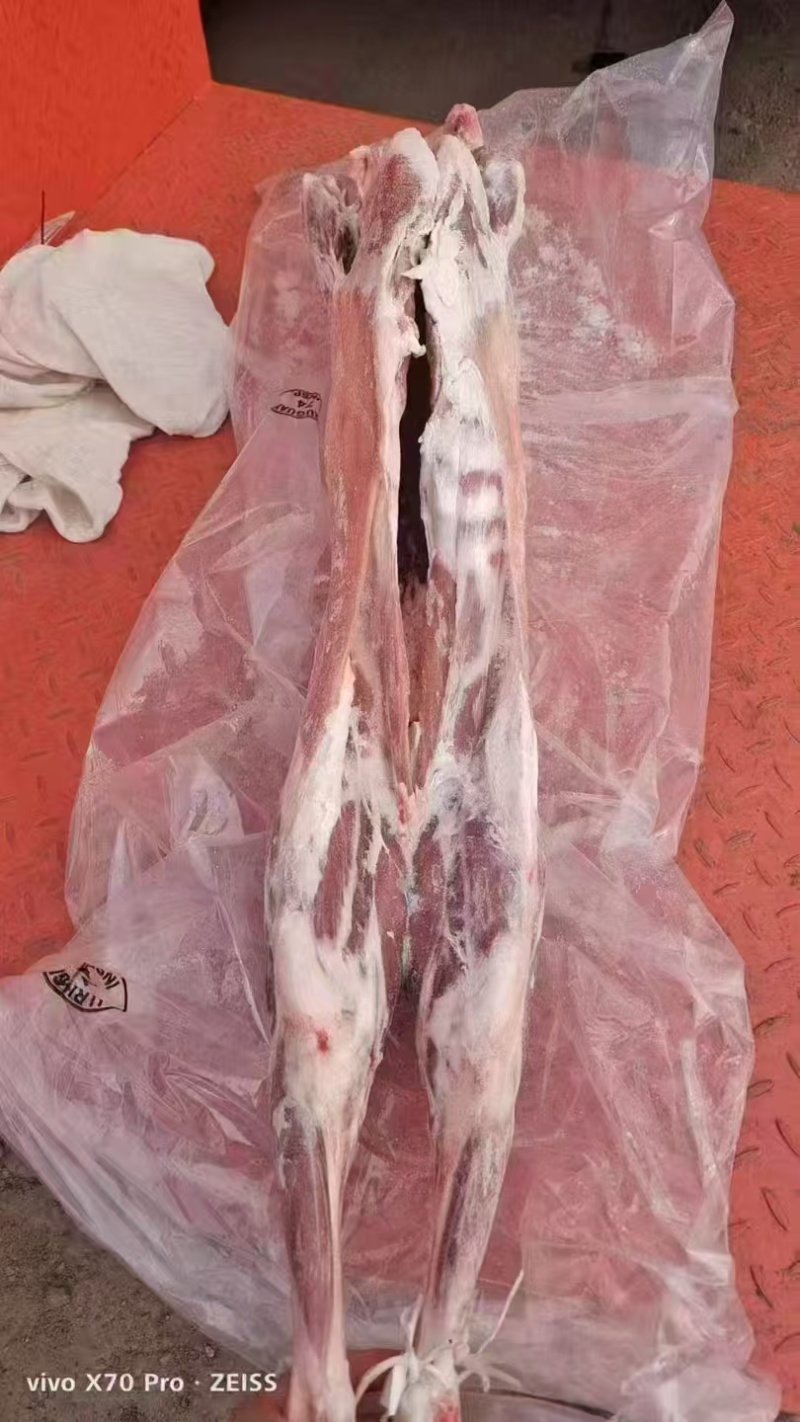 整条羊
